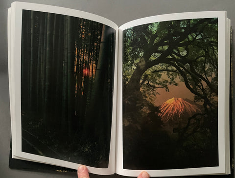 On Listening To Trees