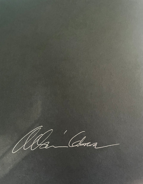 On Listening To Trees