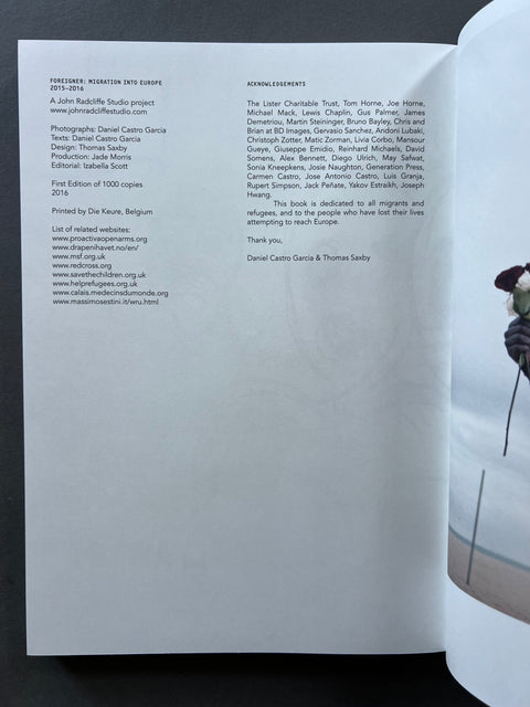 Foreigner: Migration into Europe 2015-2016