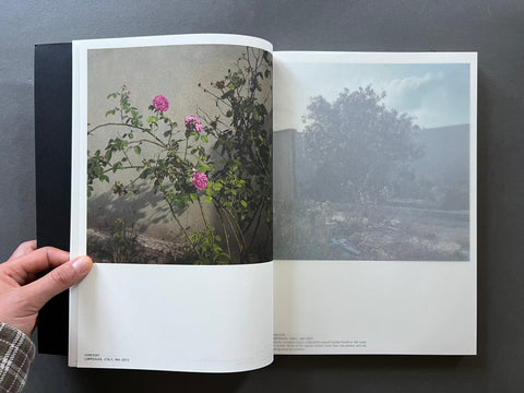 Foreigner: Migration into Europe 2015-2016