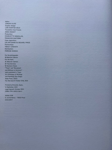 On Listening To Trees