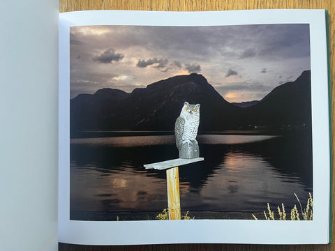 Observations of New Norwegian Fauna in the Years 2014-2022