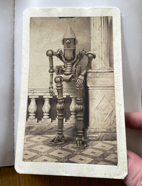 Mechanical Brides of the Uncanny (One Picture Book)