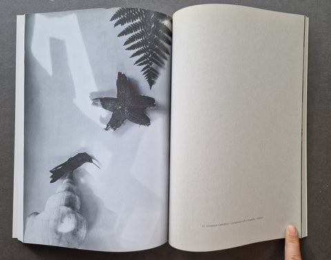 Jaromír Funke (1896 - 1954): Pioneering Avant-Garde Photography