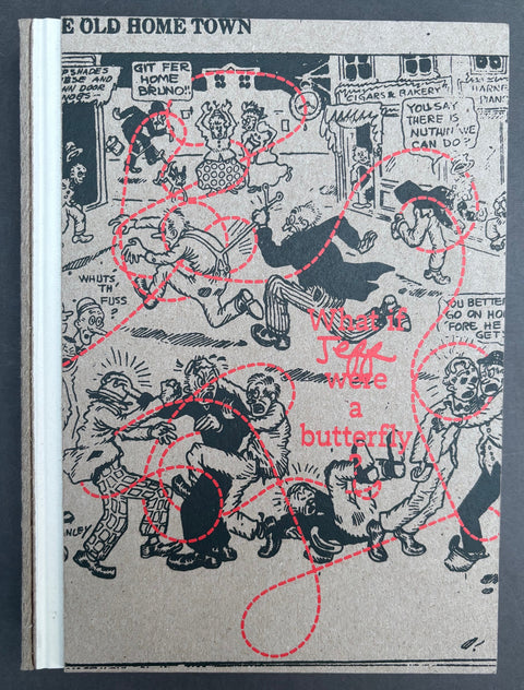 Book titled 'What if Jeff were a Butterfly?' By Jeff Mermelstein with a cartoon like cover in grey and red.