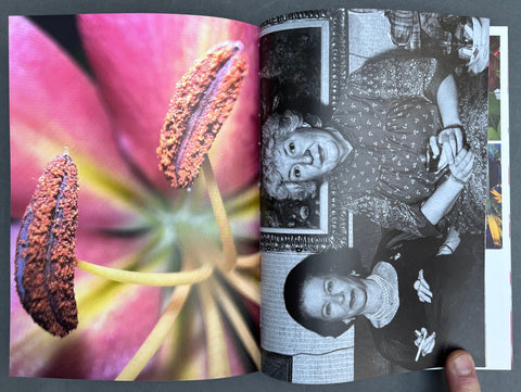 What if Jeff were a Butterfly?