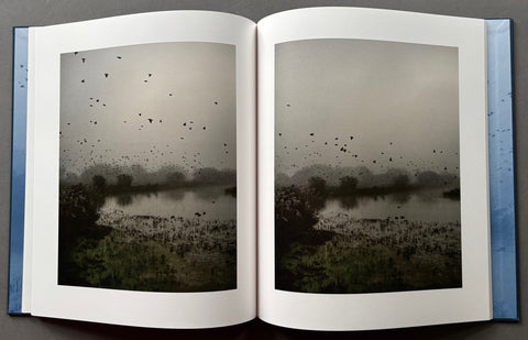 Starlings - with signed print