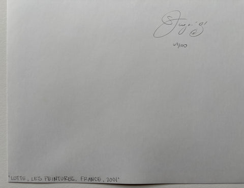 The Last Day of Summer Portfolio