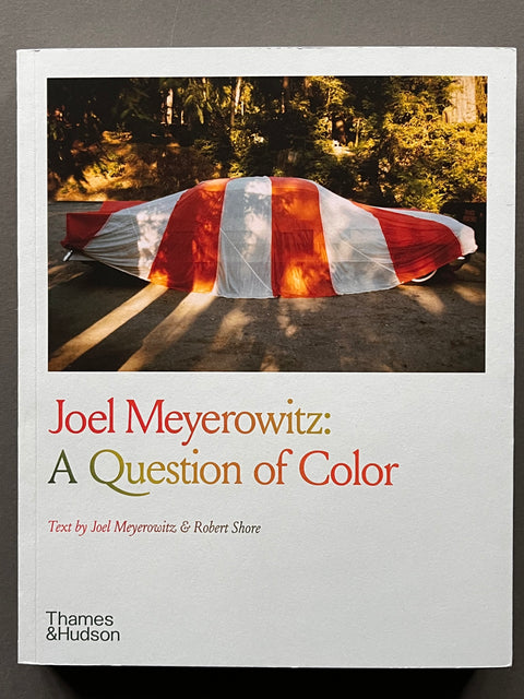 Joel Meyerowitz: A Question of Color