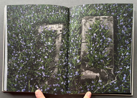 Book of Sorrow