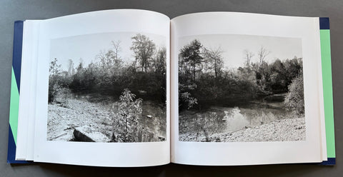 The Pond