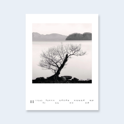 A minimalist calendar page with a photograph of a lone, leafless tree on a rocky shore with misty mountains and water in the background.