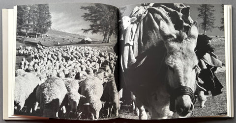 Le Transhumance De Robert Doisneau