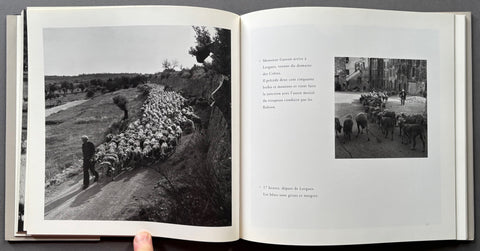 Le Transhumance De Robert Doisneau