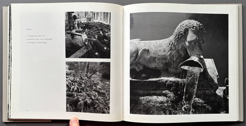 Le Transhumance De Robert Doisneau
