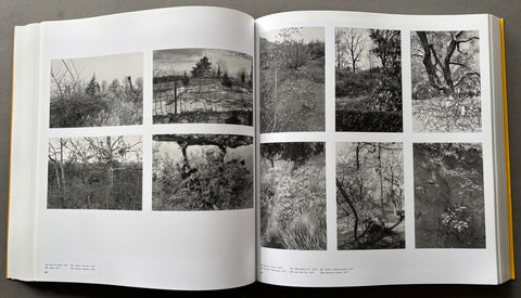 Friedlander