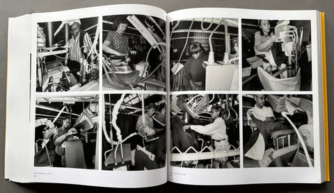 Friedlander
