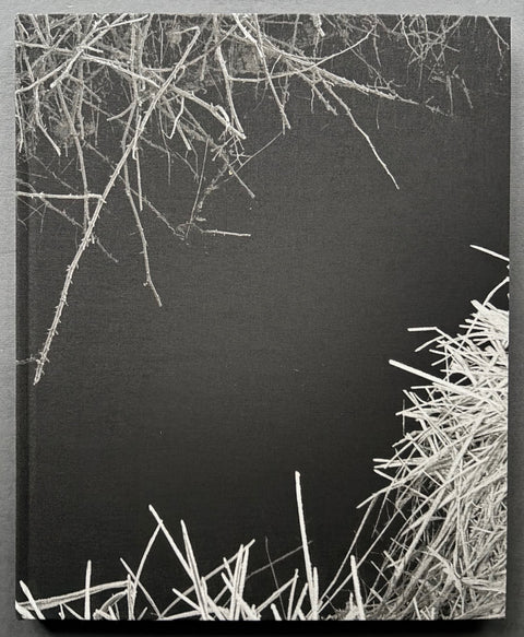 Book titled 'Reverie' by Martin Amis with a black and white cover of a body of water surrounded by frosted grass and branches.
