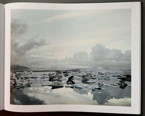 Under the Nordic Light