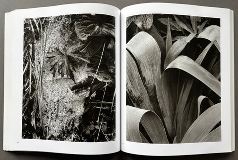 Paul Strand: Sixty Years of Photographs