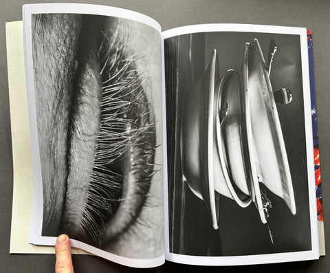 The Hero Father: I've Been Lying My Whole Life