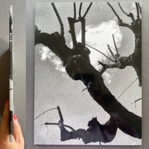 Book cover with a silhouette of a tree against a gray sky, held by a hand.