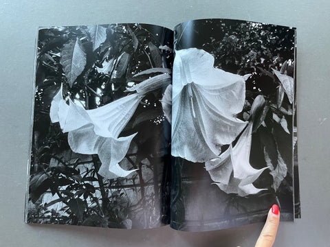 Open book showing black and white images of flowers and leaves on a gray background