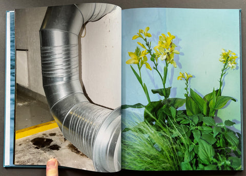 Shallow Waters, Misty Waves