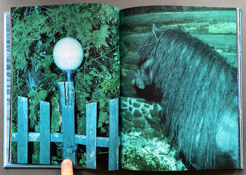 Shallow Waters, Misty Waves