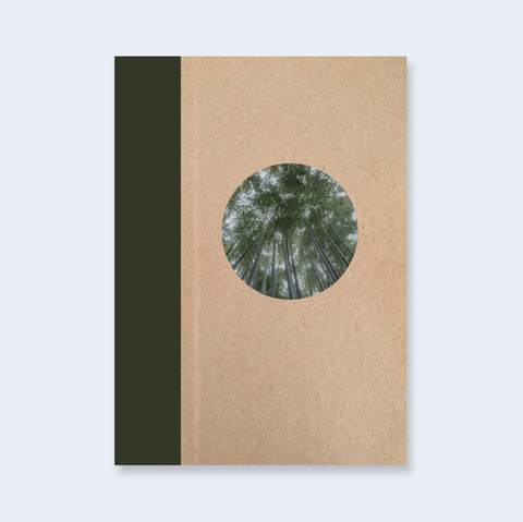 A Walk Through A Bamboo Grove, Hokoku-ji, Kamakura, Kanagawa, Japan (One Picture Book)