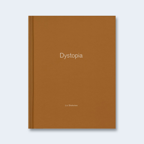 Dystopia (One Picture Book)