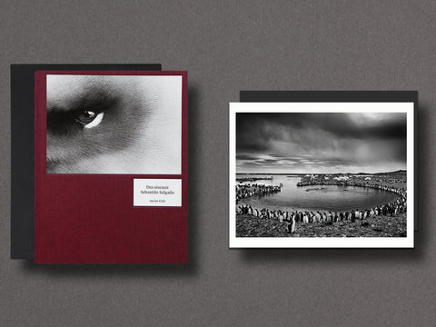 Des Oiseaux Limited Edition with Print