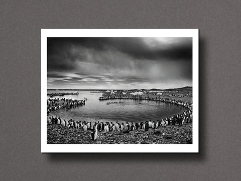 Des Oiseaux Limited Edition with Print
