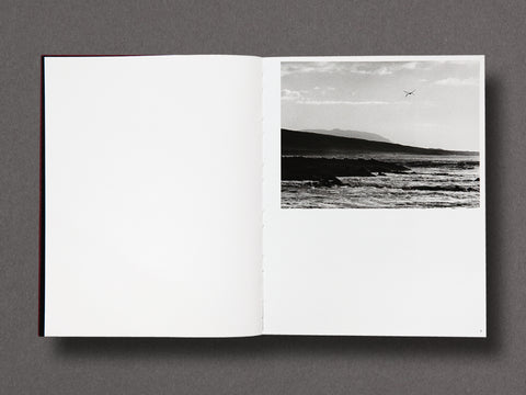 Des Oiseaux Limited Edition with Print