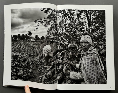 The Scent Of A Dream: Travels In The World Of Coffee