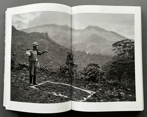 The Scent Of A Dream: Travels In The World Of Coffee