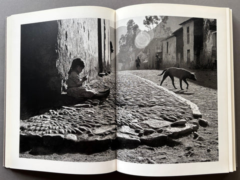 Sergio Larrain