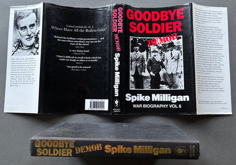 Goodbye Soldier