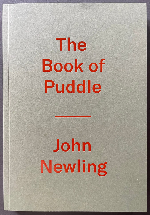 Front cover of The book of puddle by John Newling
