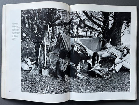 The Alternative: Communal Life in New America