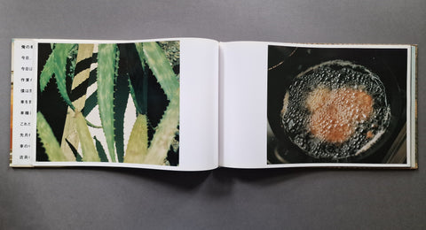 An open book, showing two printed pages side by side: the left page features green succulent leaves, and the right page shows a close-up of a bubbling dark liquid with an orange-brown center.