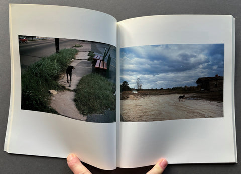 Horses and Dogs: Photographs by William Eggleston