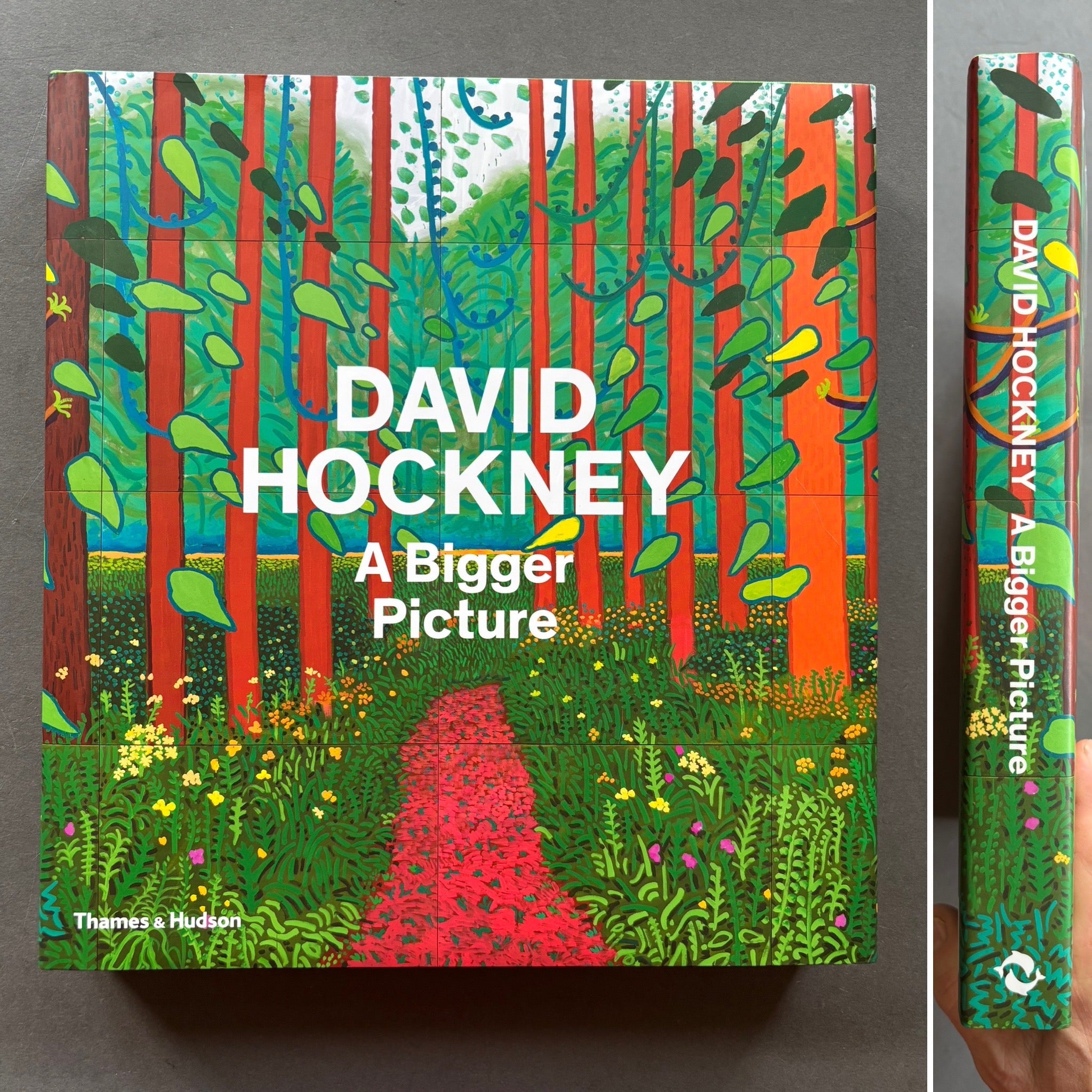 buy A Bigger Picture by David Hockney – Setanta Books