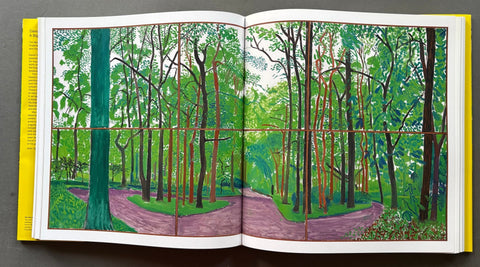 A Bigger Picture - Setanta Books