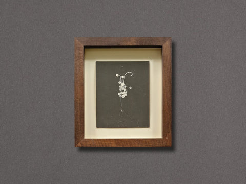 A Box of Ku, 8 (Dandelion), c. 1990s - Setanta Books
