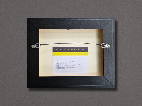 A Box of Ku (Sea Turtle), 1999 - Setanta Books