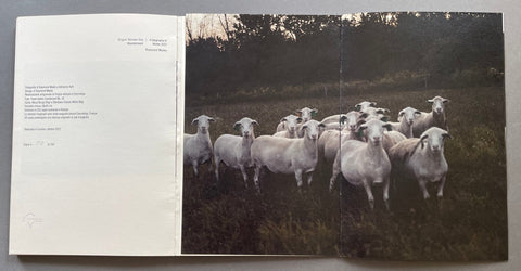 A Geography of Abandonment - Setanta Books