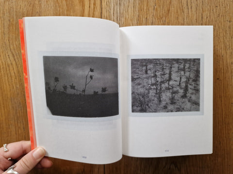 A Hometown - Setanta Books