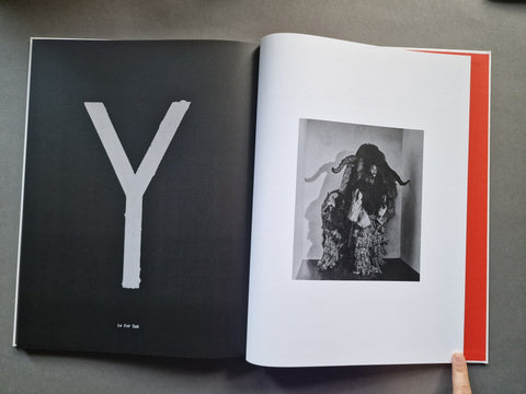 A Is For Ant - Setanta Books