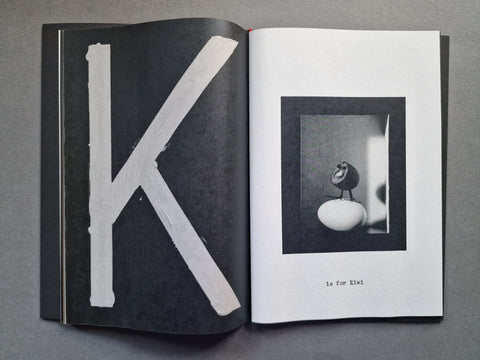 A Is For Ant (Children's Edition) - Setanta Books